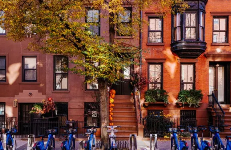 Brownstone-gevels met een buitentrap, herfstbomen en deelfietsen in Brooklyn Heights.