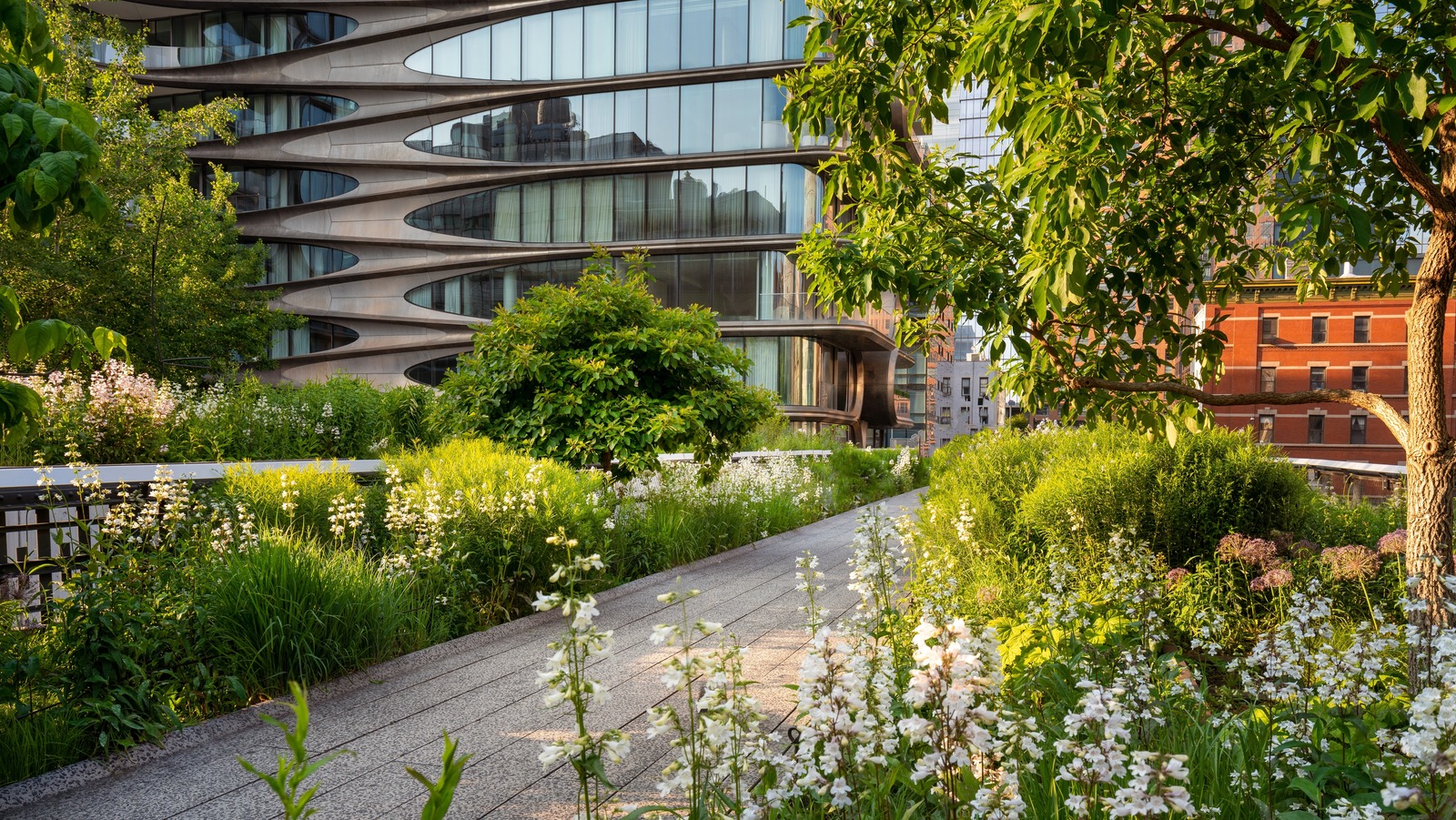 Het groene wandelpad van de High Line langs een golvende glazen gevel en bloeiende planten.