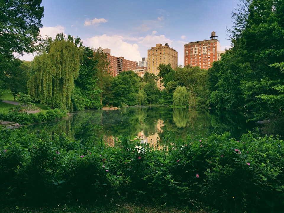 Central Park in New York